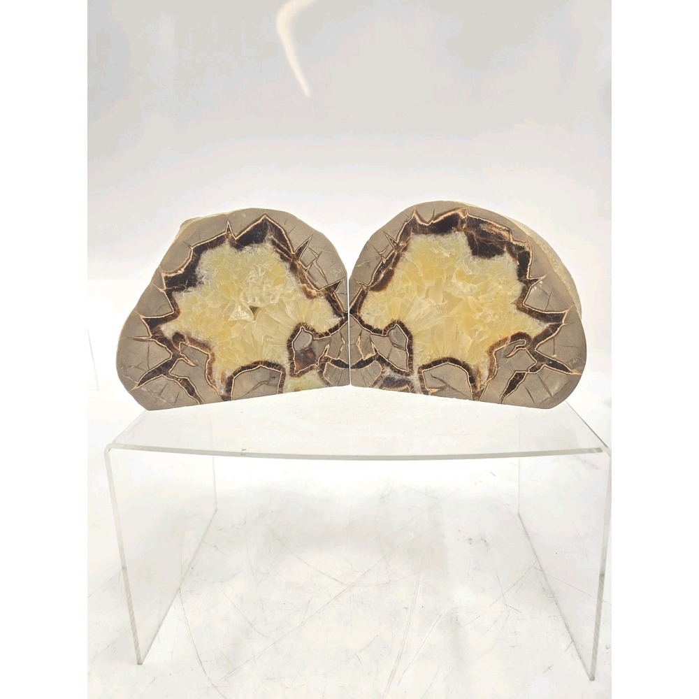 2 Beautiful Polished Natural Agate Slice — Banded Chalcedony Decor 9.5 Lbs!
